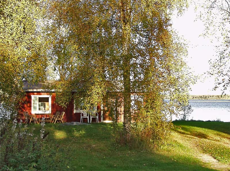 Punainen mökki pihapöytineen koivujen alla, taustalla järvi