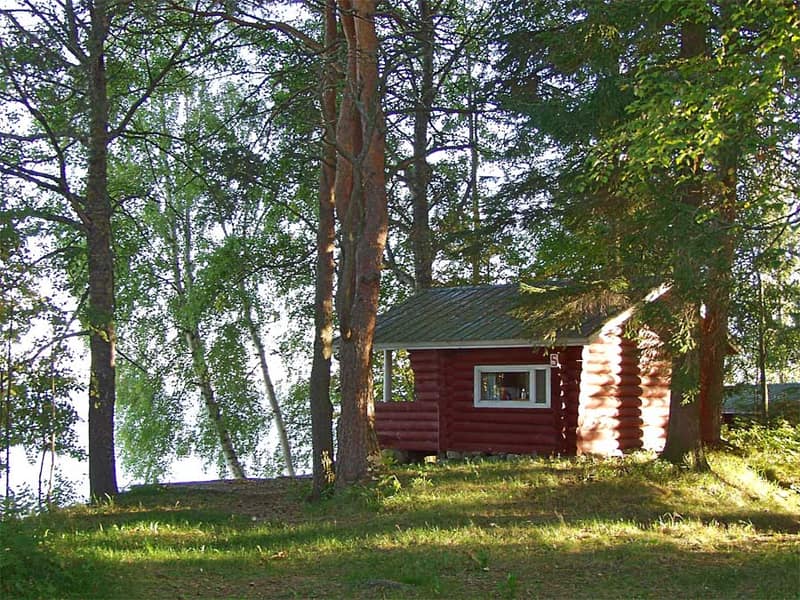 Pieni punainen hirsimökki mäntyjen ja koivujen keskellä