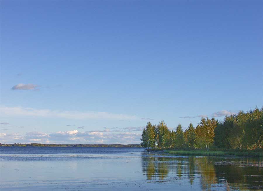 Tyyni järvimaisema ja metsäinen niemi sinisen taivaan alla